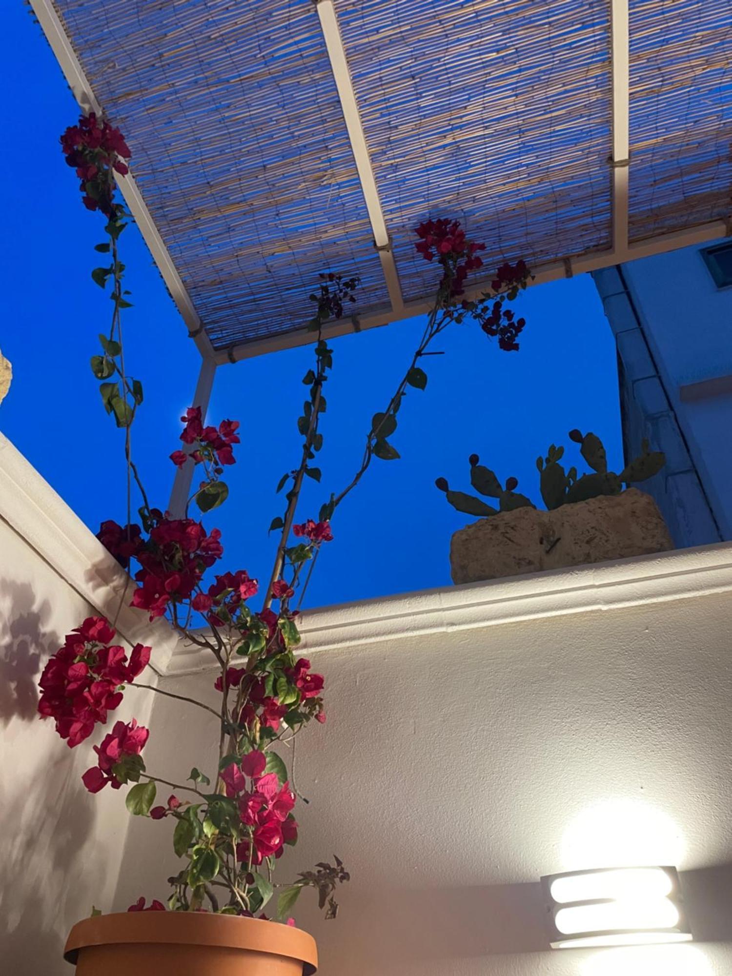 فيلا Casa Mia مولا دي باري المظهر الخارجي الصورة