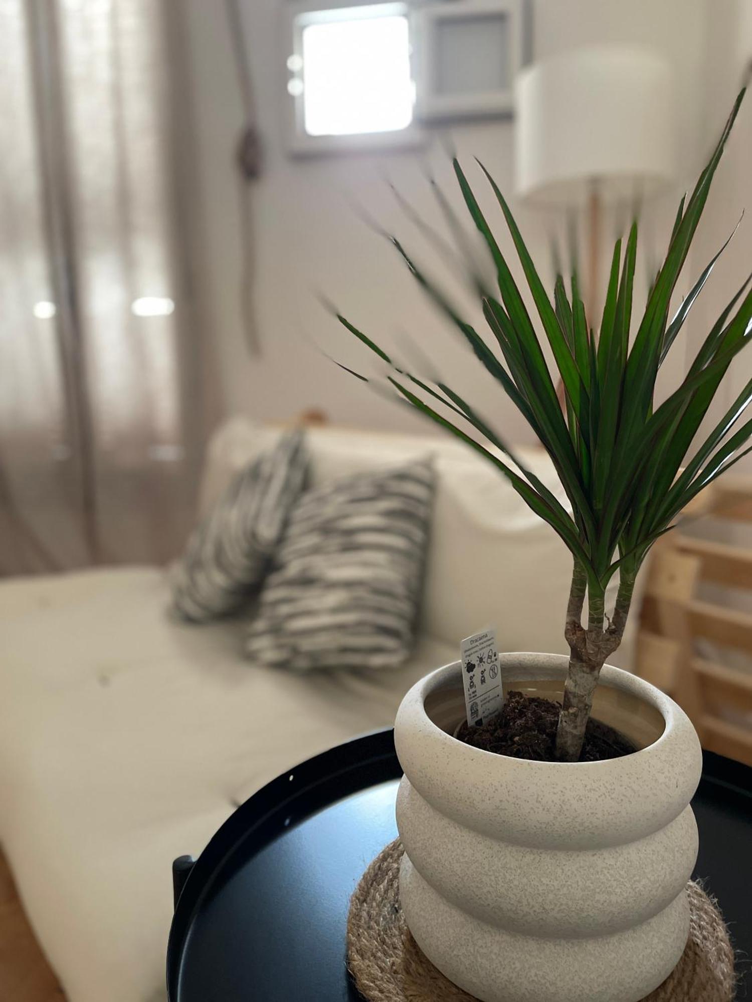 فيلا Casa Mia مولا دي باري المظهر الخارجي الصورة